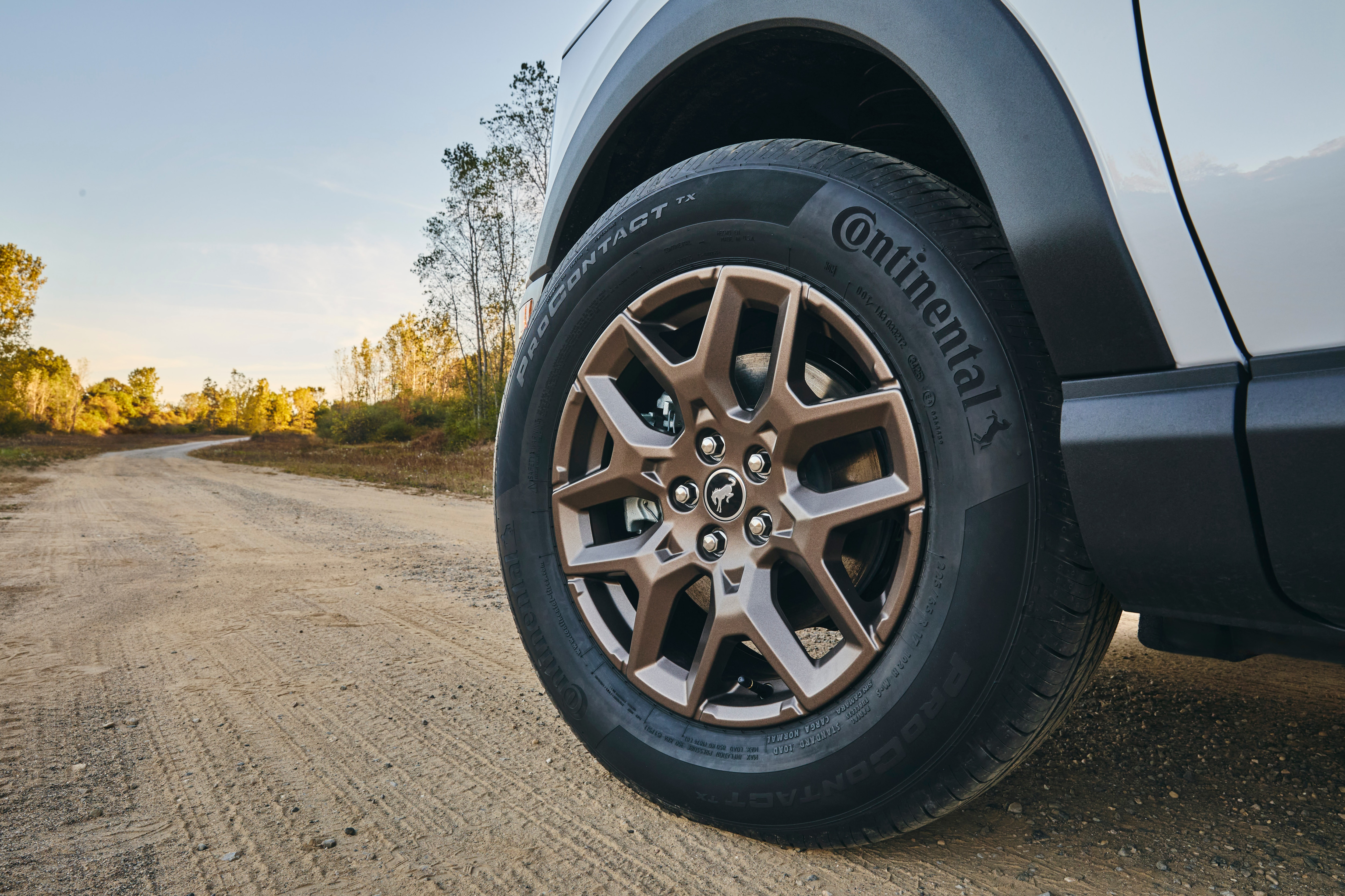 Bronze wheel details on a white Bronco